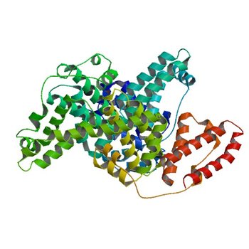 Crystal structure of Bovine Serum Albumin (3V03)