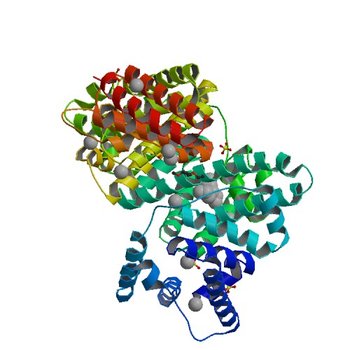 Crystal structure of Equine Serum Albumin (3V08)