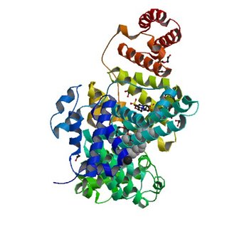 Crystal structure of Rabbit Serum Albumin (3V09)