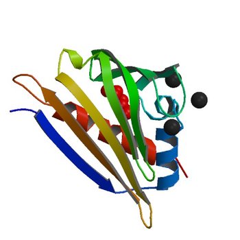 Crystal structure of kirola (Act d 11) (4IGV)