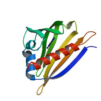 Crystal structure of kirola (Act d 11) from crystal soaked with 2-aminopurine (4IH2)