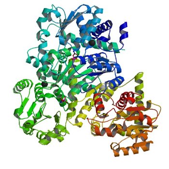 Crystal structure of anabolic ornithine carbamoyltransferase from Vibrio vulnificus in complex with carbamoyl phosphate (4JFR)