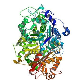 Crystal structure of beta-ketoacyl-ACP synthase II (FabF) from Vibrio Cholerae (space group P43) at 2.2 Angstrom (4JRH)