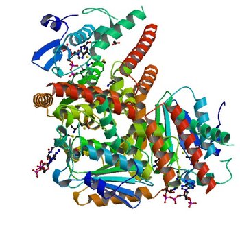 Crystal structure of Tfu_1878, a putative enoyl-CoA hydratase fromThermobifida fusca YX in complex with CoA (4JVT)