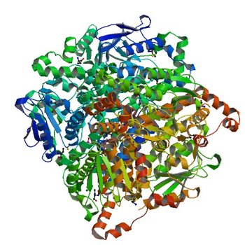 Crystal Structure of putative enoyl-CoA hydratase/isomerase from Novosphingobium aromaticivorans DSM 12444 (4JYJ)