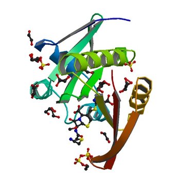 Crystal structure of a GNAT superfamily acetyltransferase PA4794 in complex with Cefmetazole (4KOS)