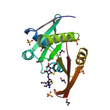 Crystal structure of a GNAT superfamily acetyltransferase PA4794 in complex with Cefotaxime (4KOT)