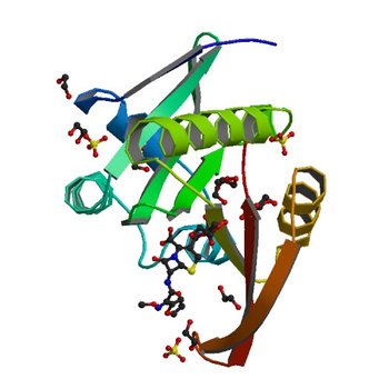 Crystal structure of a GNAT superfamily acetyltransferase PA4794 in complex with Cefuroxime (4KOV)