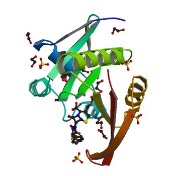 Crystal structure of a GNAT superfamily acetyltransferase PA4794 in complex with Cefalotin (4KOX)