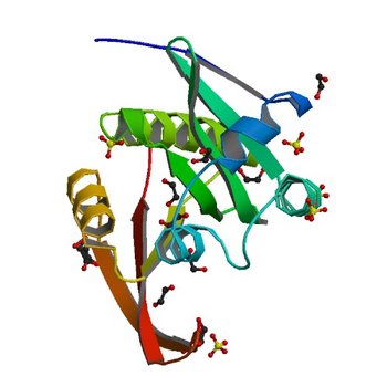 Crystal structure of a GNAT superfamily acetyltransferase PA4794 (4KUA)