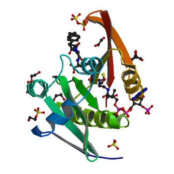 Crystal structure of a GNAT superfamily acetyltransferase PA4794 in ternary complex with N-Phenylacetyl-Gly-AcLys and CoA (4L8A)