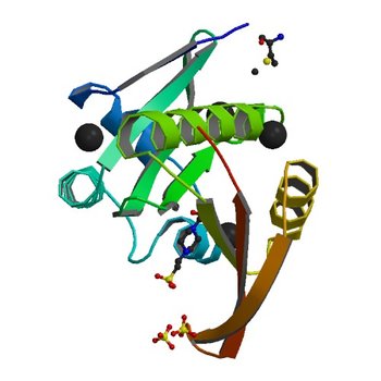 Crystal structure of a GNAT superfamily acetyltransferase PA4794 in complex with HEPES (4M3S)