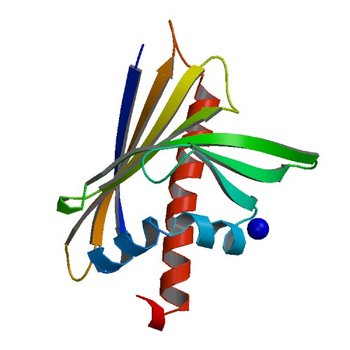 Crystal structure of Apo Ara h 8 (4M9B)