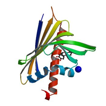 Crystal structure of Ara h 8 with Epicatechin bound (4MA6)