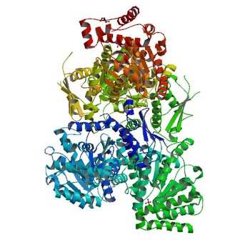 Scrystal structure of protein with unknown function from Vibrio cholerae at P22121 spacegroup (4NPA)