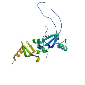 Structure of CHD4 double chromodomains depicts cooperative folding for DNA binding (4O9I)