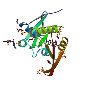 Crystal structure of a GNAT superfamily acetyltransferase PA4794 C29A/C117A/Y128A mutant in complex with chloramphenicol (4OAE)