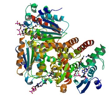 Crystal structure of Tfu_1878, a putative enoyl-CoA hydratase from Thermobifida fusca YX in complex with acetoacetyl-CoA (4OMR)