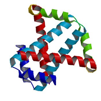 Crystal structure of protein HP0242 from Helicobacter pylori at 1.94 A resolution: a knotted homodimer (4U12)