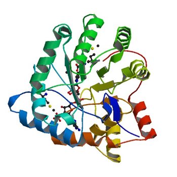 Crystal structure of aldo/keto reductase from Klebsiella pneumoniae in complex with NADP and acetate at 1.8 A resolution (4WGH)