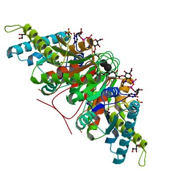 Crystal structure of universal stress protein E from Proteus mirabilis in complex with UDP-3-O-[(3R)-3-hydroxytetradecanoyl]-N-acetyl-alpha-glucosamine (4WY2)