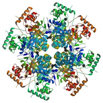 Crystal structure of aldo-keto reductase from Polaromonas sp. JS666 (4XK2)