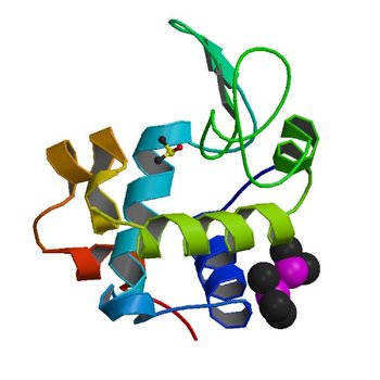 Room temperature X-ray diffraction studies of cisplatin binding to HEWL in DMSO media after 14 months of crystal storage - new refinement (4YEN)