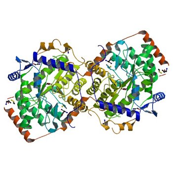 Crystal structure of trimethylamine methyltransferase from Sinorhizobium meliloti in complex with unknown ligand (4YYC)