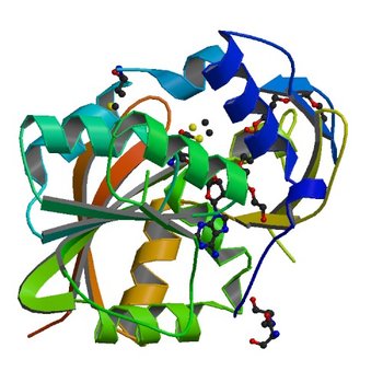 Crystal structure of SAM-dependent methyltransferase from Bacteroides fragilis in complex with S-Adenosyl-L-homocysteine (5BP9)