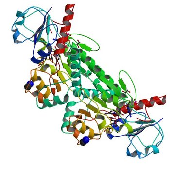 Probable 2-hydroxyacid dehydrogenase from Rhizobium etli CFN 42 in complex with NADP, HEPES and L(+)-tartaric acid (5BQF)