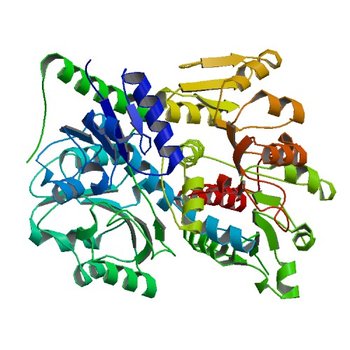 Crystal structure of NADP-dependent dehydrogenase from Rhodobacter sphaeroides (5C5I)