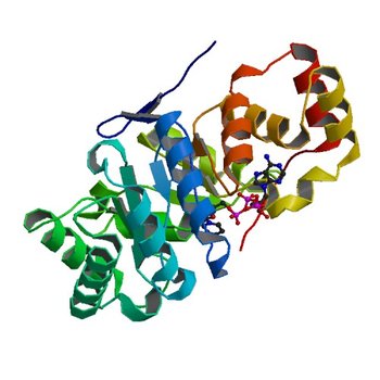 Crystal structure of aldo-keto reductase from Sinorhizobium meliloti 1021 in complex with NADPH (5C7H)