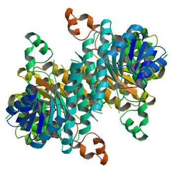 Crystal structure of beta-ketoacyl-acyl carrier protein reductase (FabG)(Q152A) from Vibrio cholerae (5END)