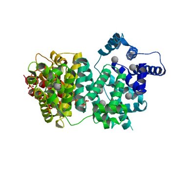 Crystal structure of Equine Serum Albumin in the presence of 15 mM zinc at pH 6.5 (5IIX)