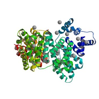 Crystal structure of Equine Serum Albumin in the presence of 50 mM zinc at pH 4.5 (5IJ5)