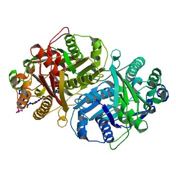 Beta-ketoacyl-ACP synthase III -2 (FabH2) (C113A) from Vibrio Cholerae cocrystallized with octanoyl-CoA: hydrolzed ligand (5KP2)