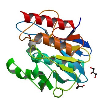 Crystal structure of NDM-1 in complex with beta-mercaptoethanol - new refinement (5N0I)