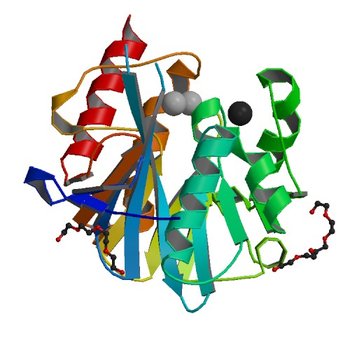 NDM-1 metallo-beta-lactamase: a parsimonious interpretation of the diffraction data (5NBK)