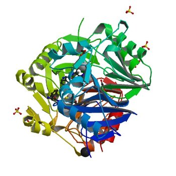 Crystal structure of NDM-1 in complex with hydrolyzed ampicillin - new refinement (5O2F)