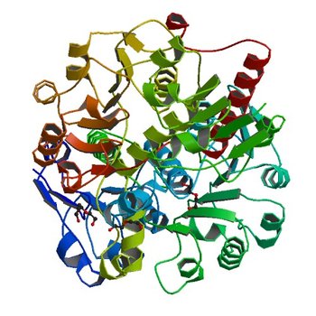 Crystal structure of D-isomer specific 2-hydroxyacid dehydrogenase from Desulfovibrio vulgaris (5TX7)