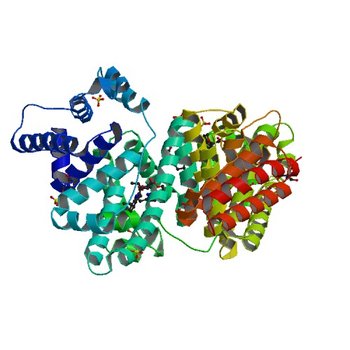 Crystal structure of Equine Serum Albumin complex with etodolac (5V0V)