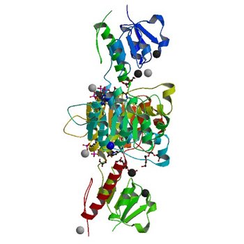 Crystal structure of NADPH-dependent glyoxylate/hydroxypyruvate reductase SMc04462 (SmGhrB) from Sinorhizobium meliloti in complex with NADP and 2-Keto-D-gluconic acid (5V7N)