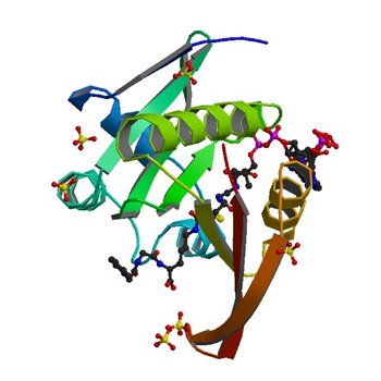 Crystal structure of a GNAT superfamily acetyltransferase PA4794 in complex with bisubstrate analog 3 (5VDB)