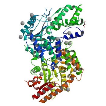 Re-refinement OF THE PDB STRUCTURE 1yiz of Aedes aegypti kynurenine aminotransferase (5VEH)