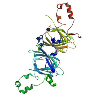 Crystal structure of the vicilin from Solanum melongena, re-refinement (5VF5)