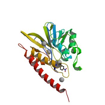 Crystal structure of the complex between class B3 beta-lactamase BJP-1 and 4-nitrobenzene-sulfonamide - new refinement (5WCM)