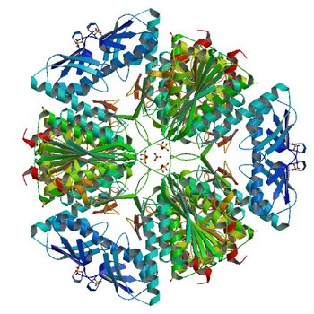 Crystal structure of peptidase B from Yersinia pestis CO92 at 2.75 A resolution (6CXD)