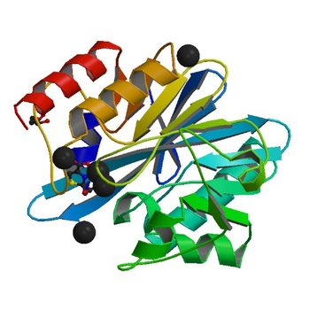 Crystal structure of NDM-1 metallo-beta-lactamase in complex with Cd ions and a hydrolyzed beta-lactam ligand - new refinement (6EX7)