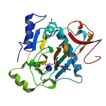 The crystal structure of kanamycin B dioxygenase (KanJ) from Streptomyces kanamyceticus in complex with nickel, neamine and sulfate (6S0V)