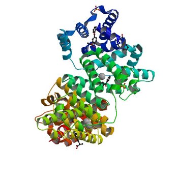 Crystal structure of Equine Serum Albumin complex with ketoprofen (6U4R)